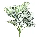 Simulation plant blanc 18 têtes bailo