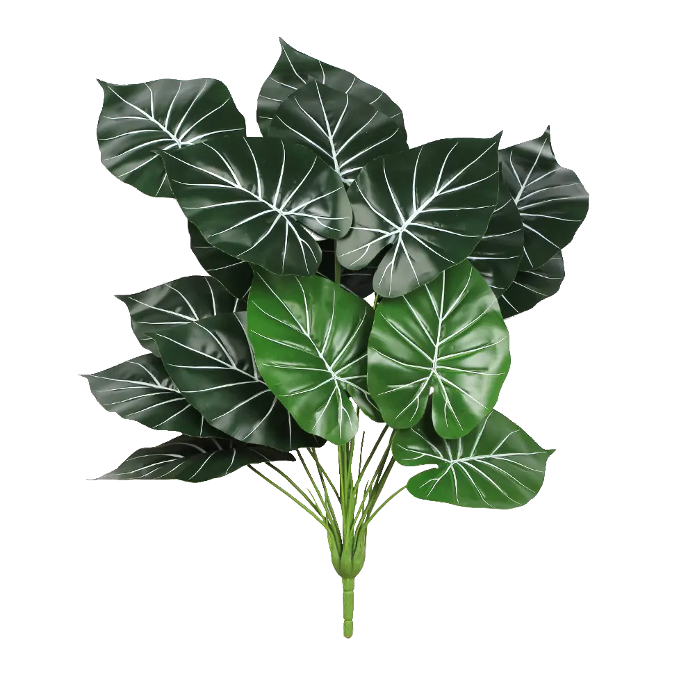 Simulation of 18 heads of white plant