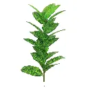 Simulation plant 23 leaf flower banana leaf