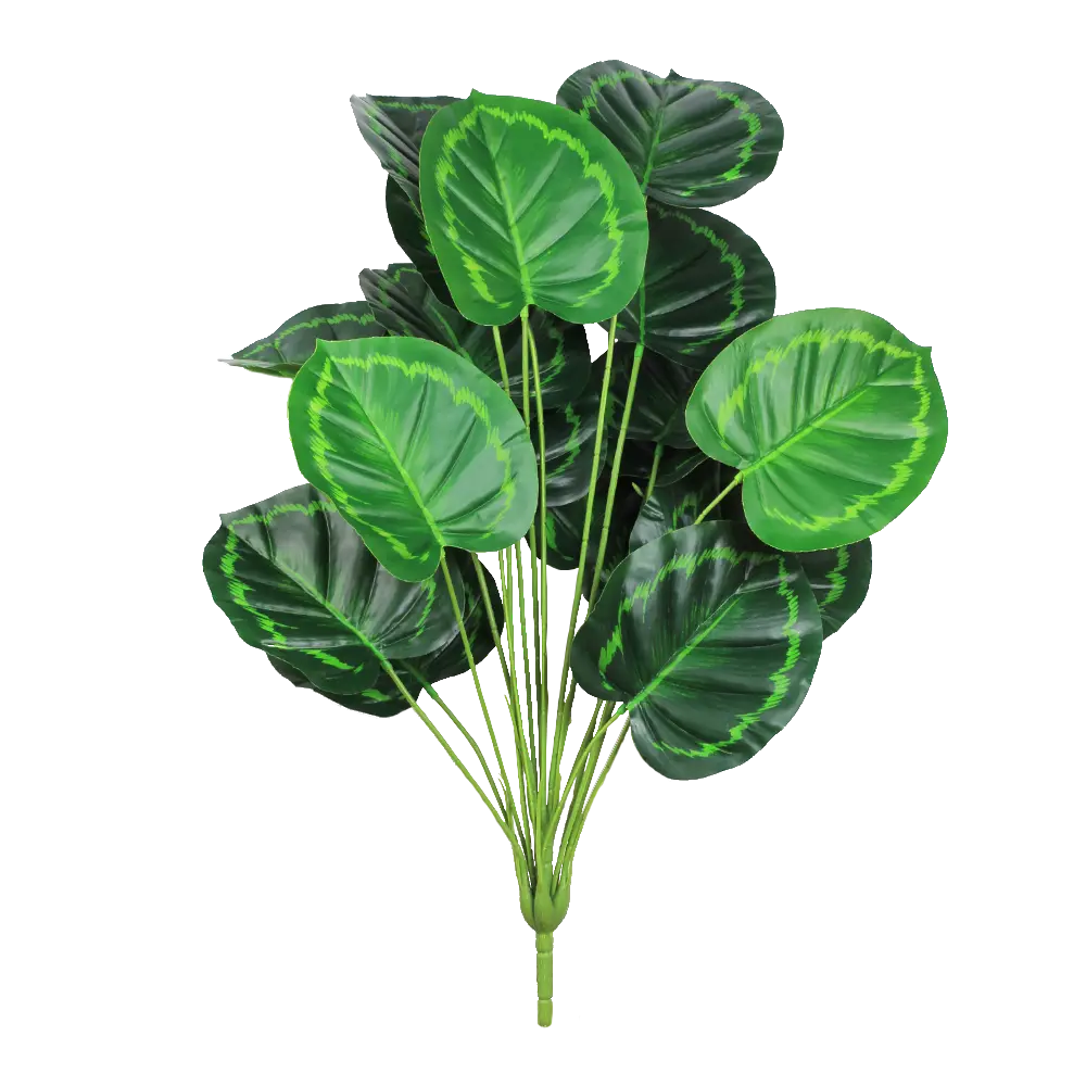 Simulation de plantes vertes /18 têtes loving green