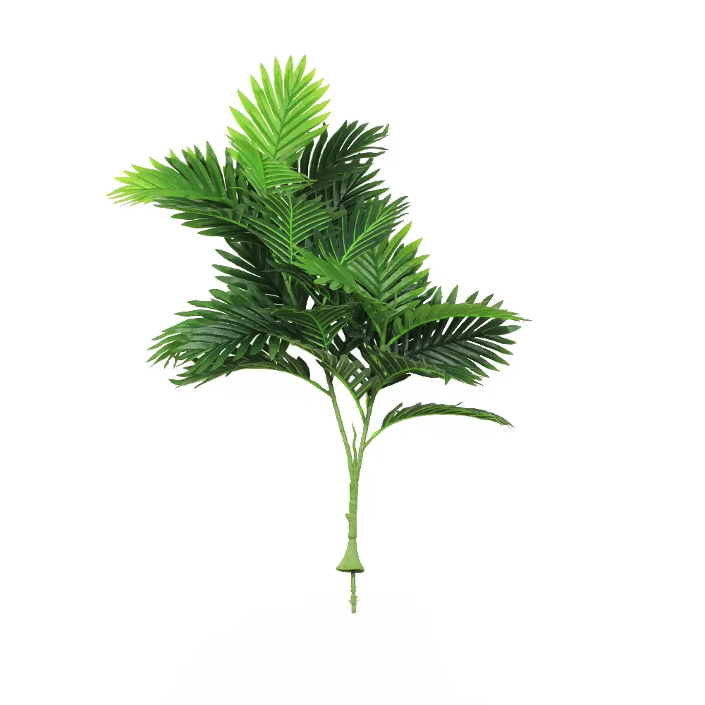 Simulation de la plante 24 feuilles